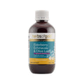 Herbs of Gold Elderberry Echinacea & Olive Leaf 100ml