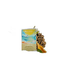 Roogenic Native Clarity Tea Bags 18-pack